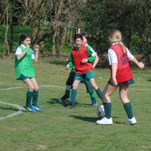 DSC00252