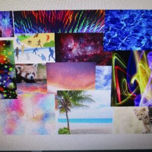 Picture6